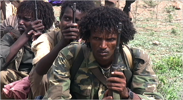 Ethiopia Convicts Two Swedish Journalists of Terrorism